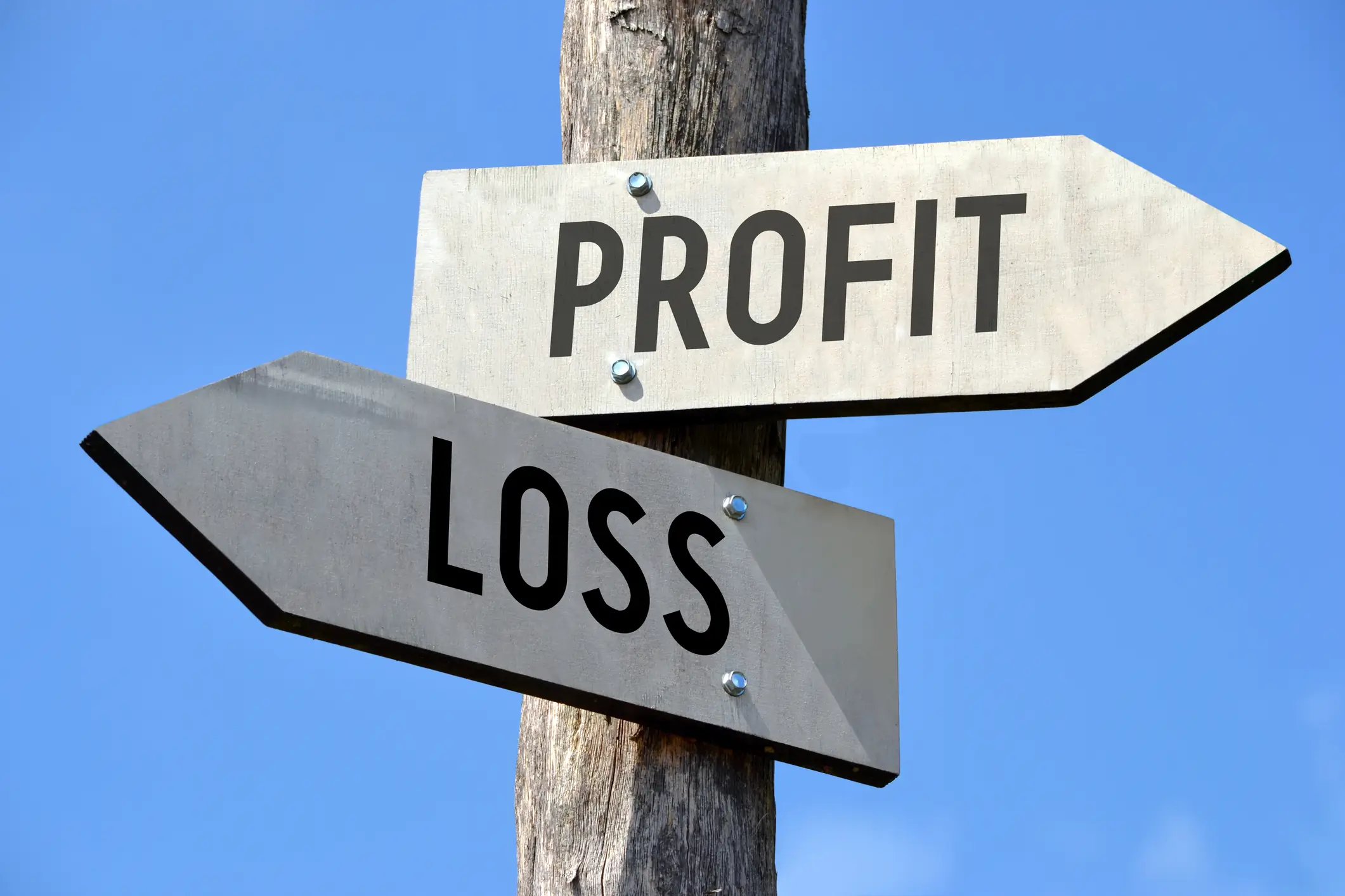 Maximize Your Profits and Minimize Your Losses: A Guide to Understanding Profit and Loss