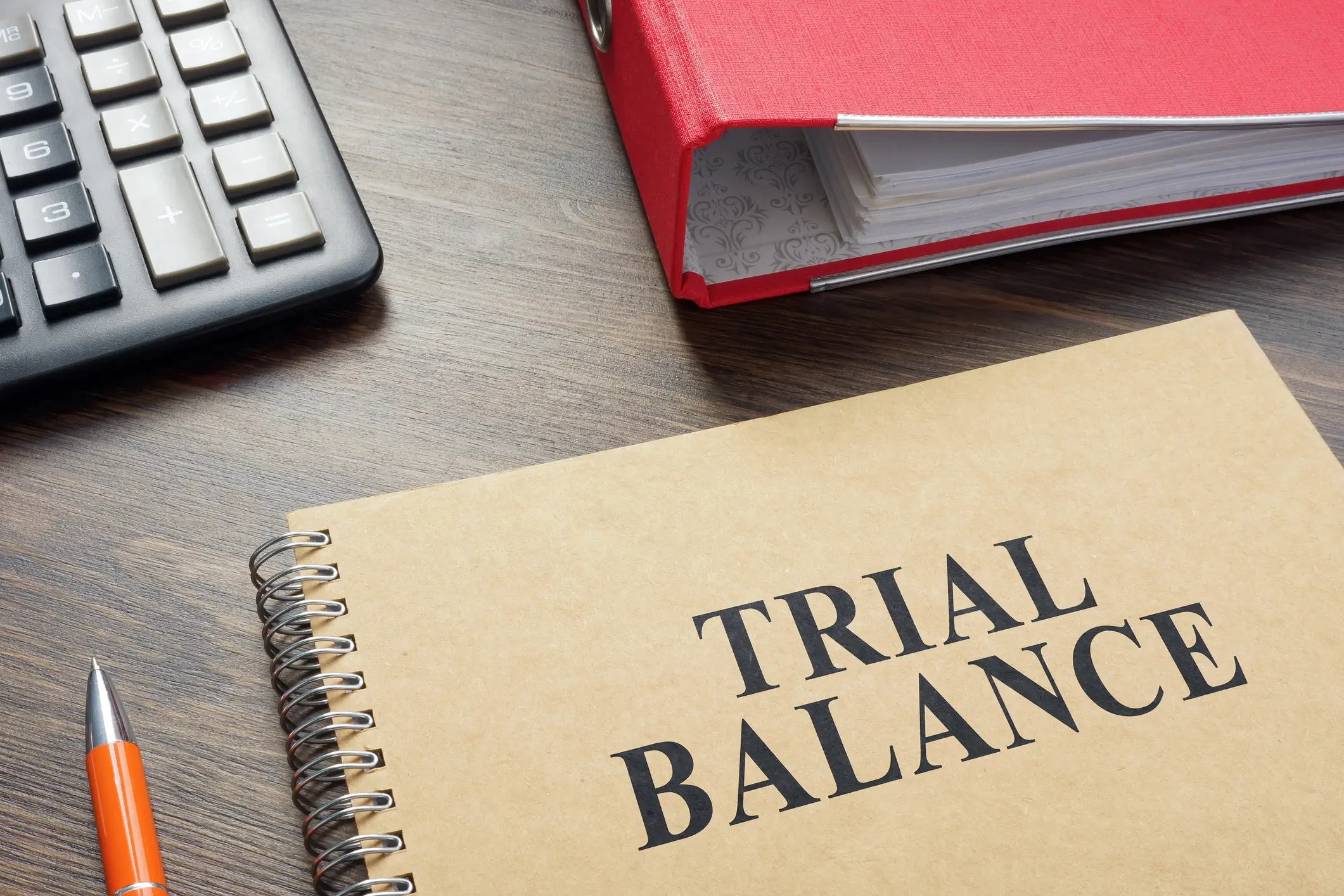 What is a Trial Balance in Accounting?